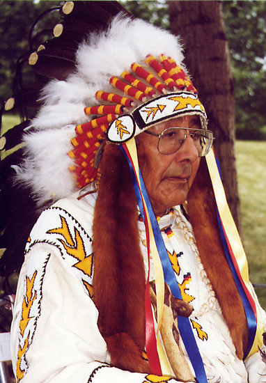 Noble Indian Chief