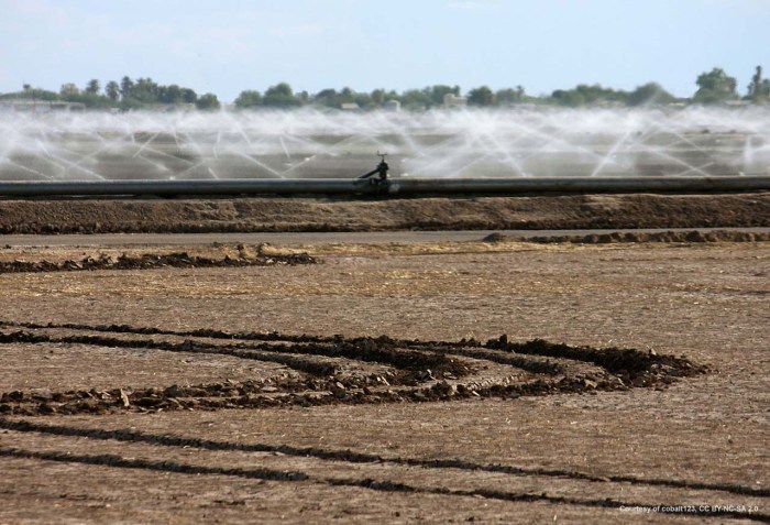 Approximately 69% of the available water supply in Arizona is used for agriculture.